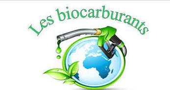 biocarburant.JPG